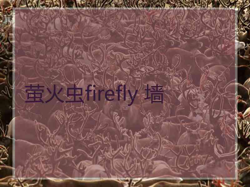 萤火虫firefly 墙