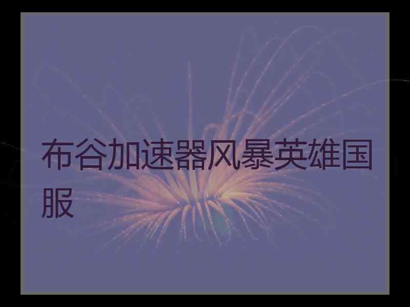 布谷加速器风暴英雄国服