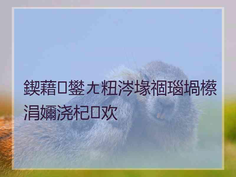 鍥藉鐢ㄤ粈涔堟祻瑙堝櫒涓嬭浇杞欢