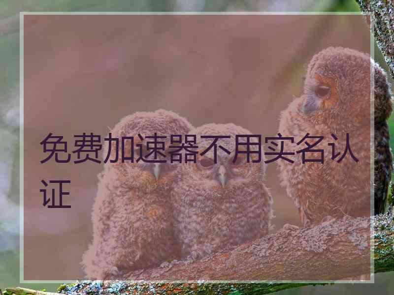 免费加速器不用实名认证