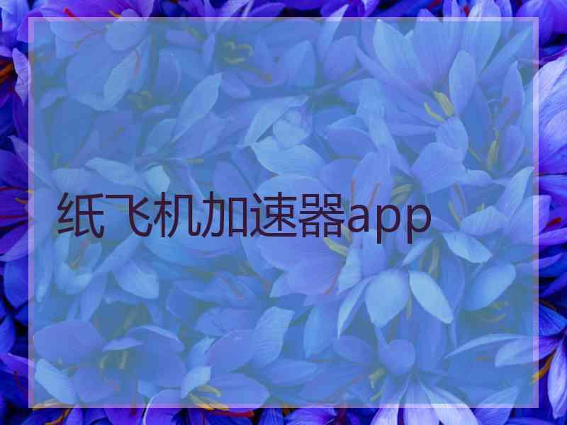 纸飞机加速器app