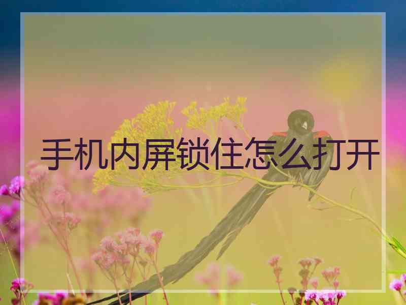 手机内屏锁住怎么打开