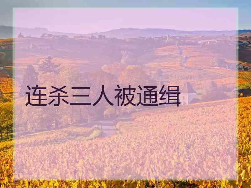 连杀三人被通缉