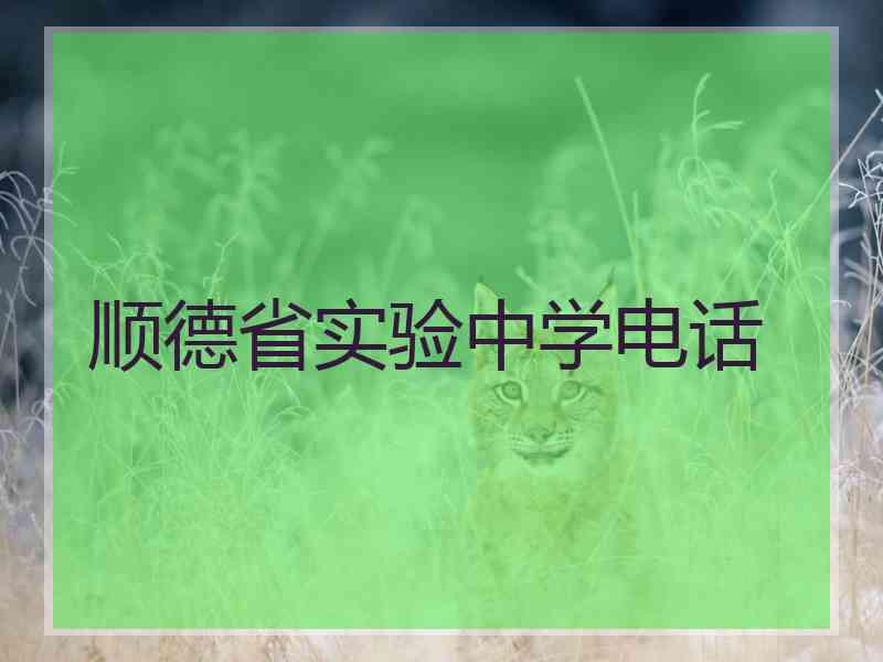 顺德省实验中学电话