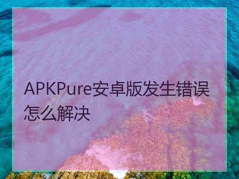APKPure安卓版发生错误怎么解决
