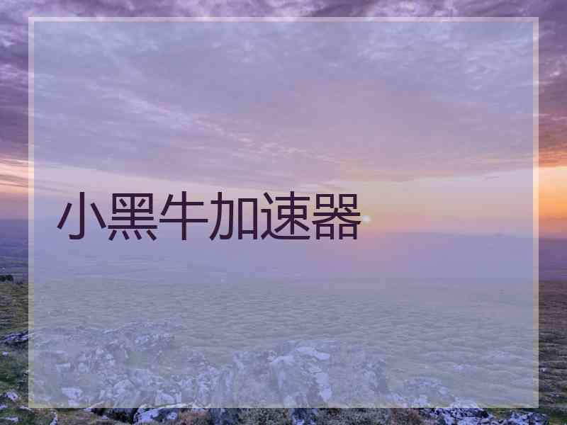 小黑牛加速器