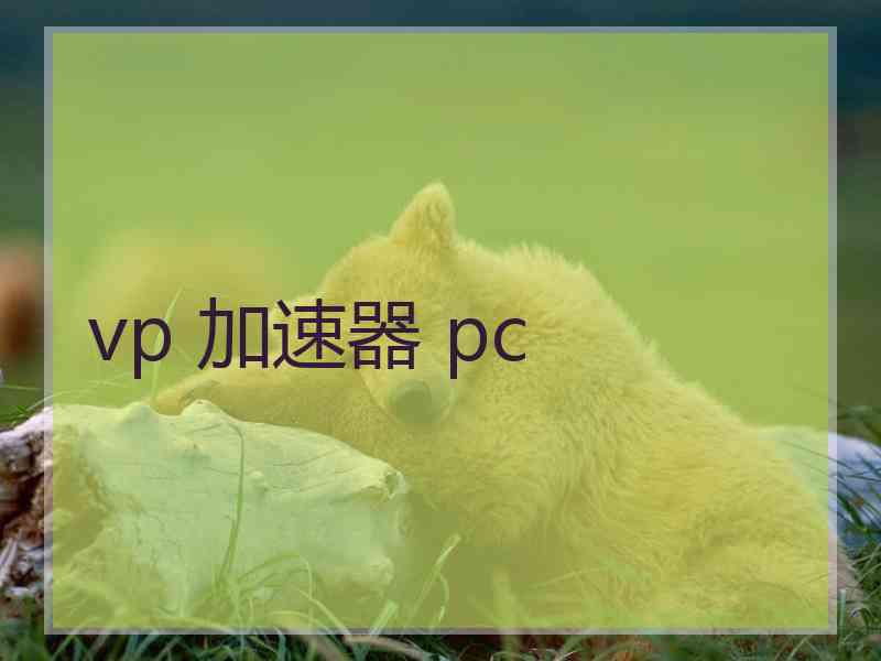 vp 加速器 pc