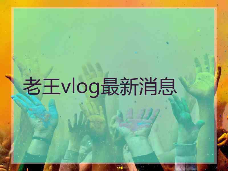 老王vlog最新消息