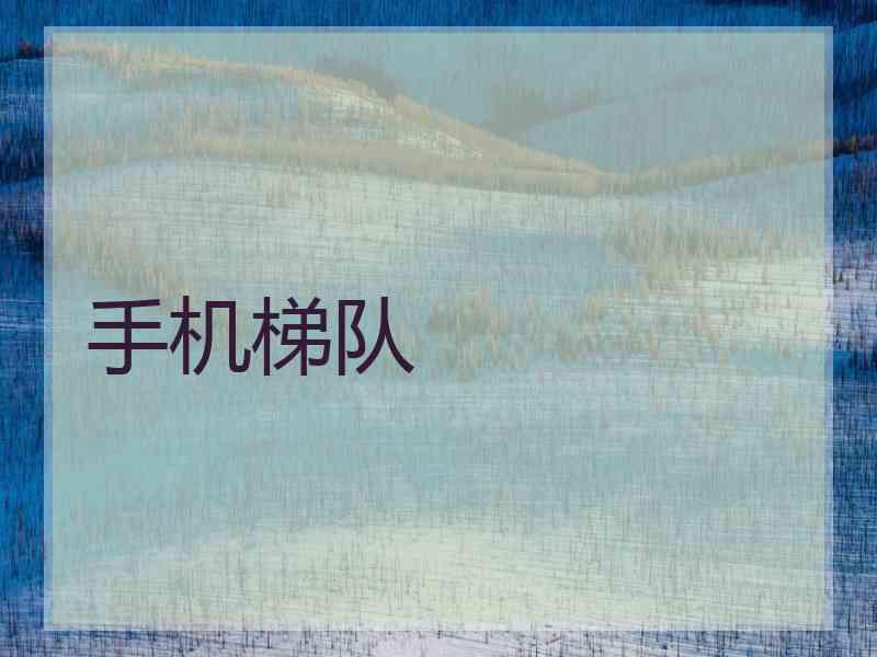 手机梯队