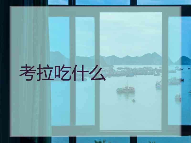 考拉吃什么