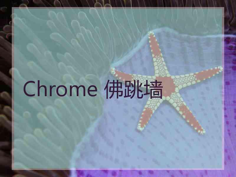 Chrome 佛跳墙