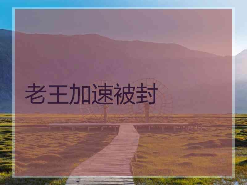老王加速被封