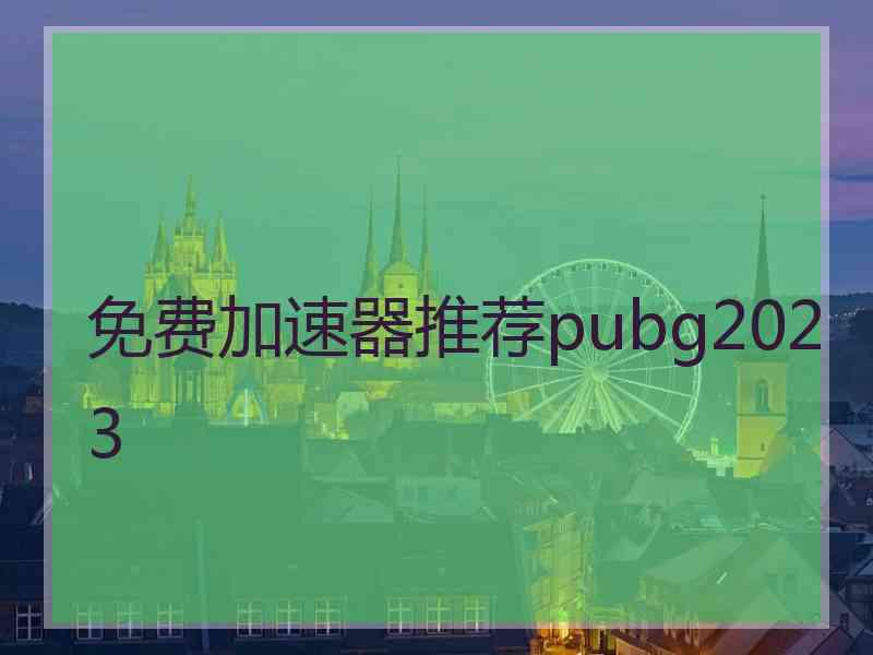 免费加速器推荐pubg2023
