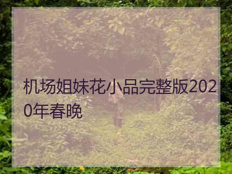 机场姐妹花小品完整版2020年春晚