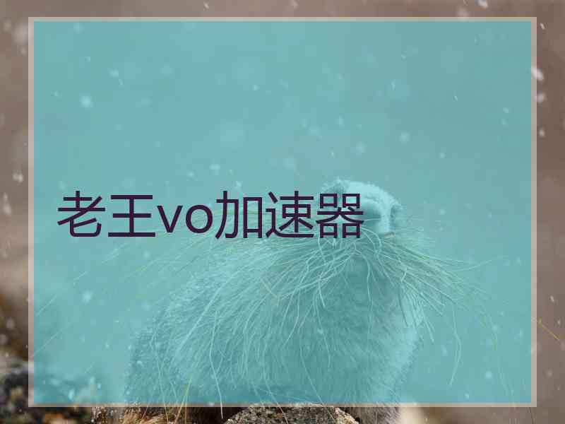老王vo加速器