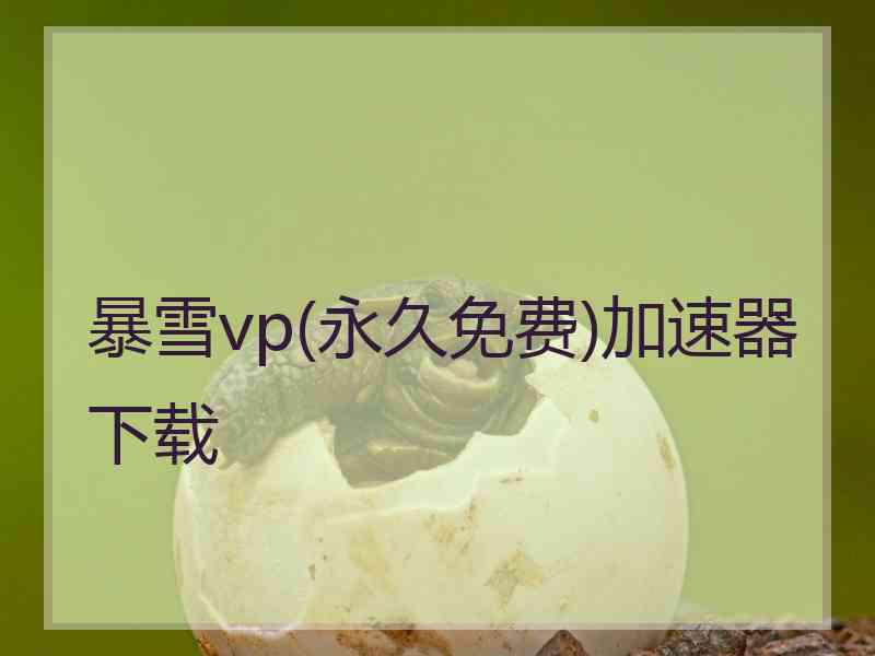 暴雪vp(永久免费)加速器下载
