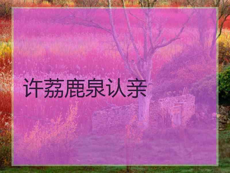 许荔鹿泉认亲