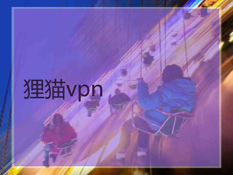 狸猫vpn