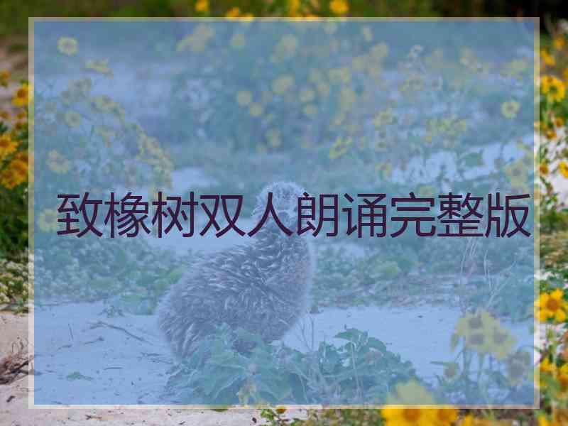 致橡树双人朗诵完整版
