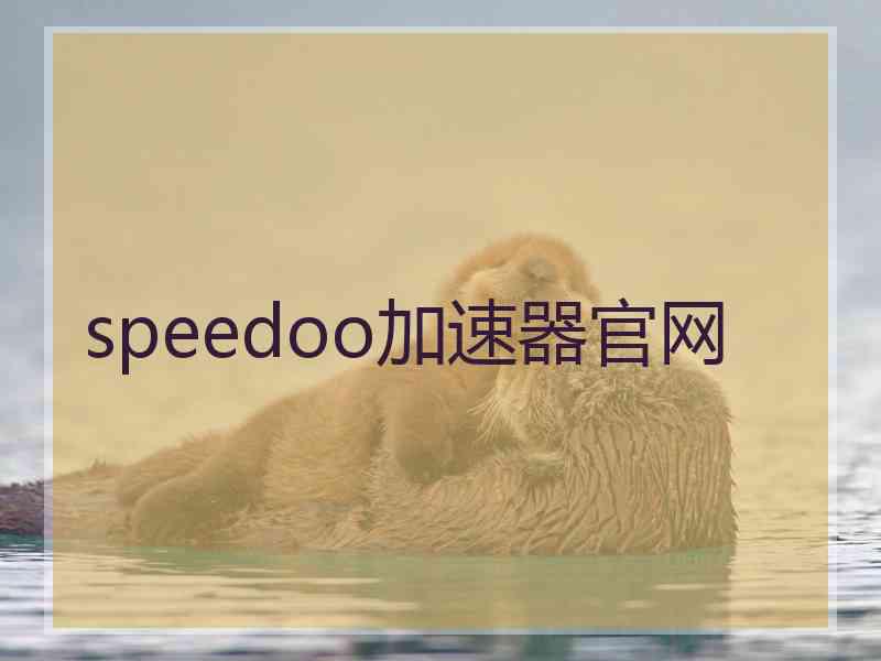 speedoo加速器官网