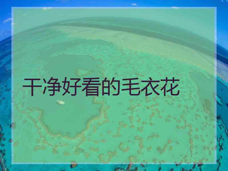 干净好看的毛衣花