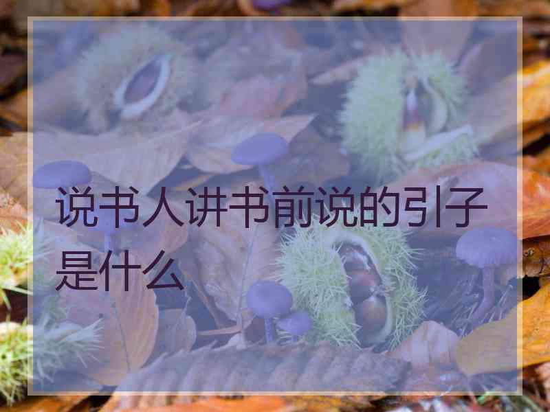 说书人讲书前说的引子是什么