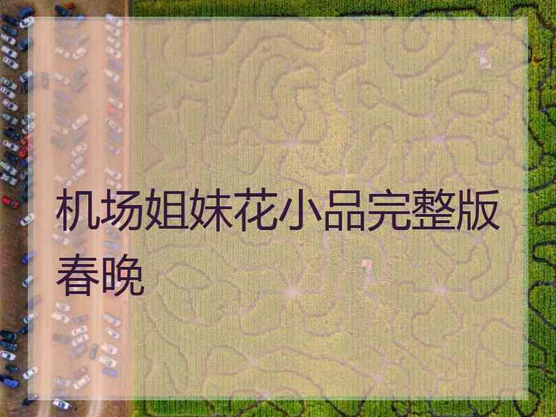 机场姐妹花小品完整版春晚