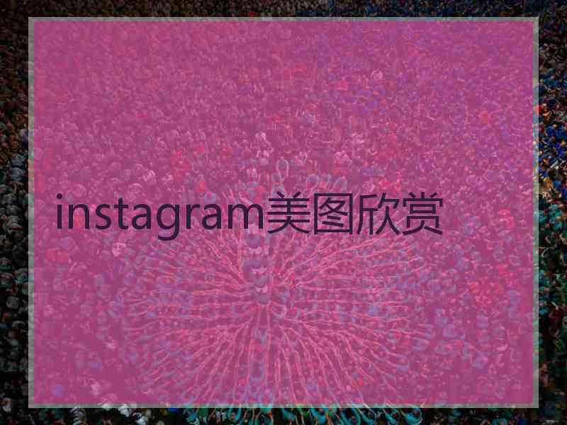 instagram美图欣赏
