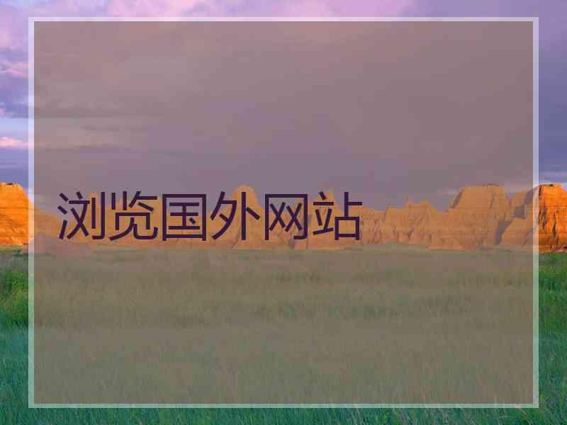 浏览国外网站