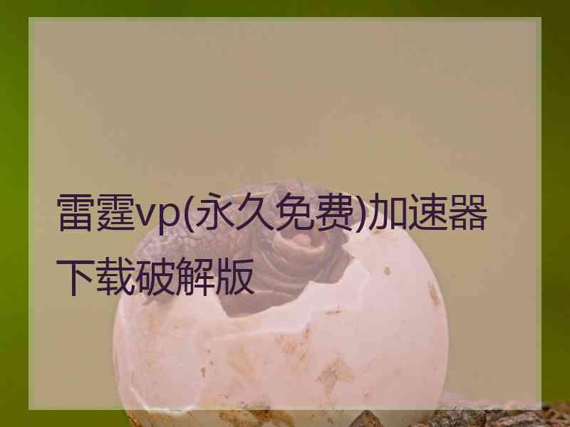 雷霆vp(永久免费)加速器下载破解版
