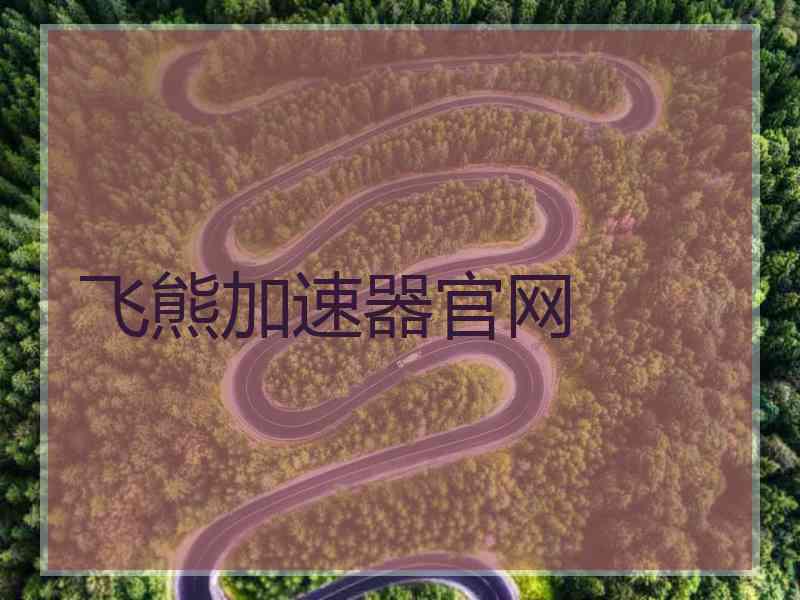 飞熊加速器官网