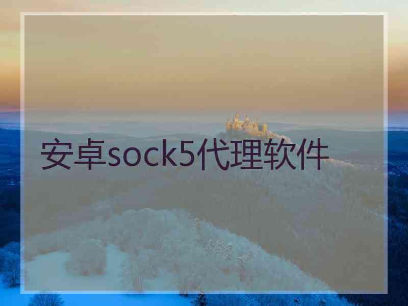 安卓sock5代理软件