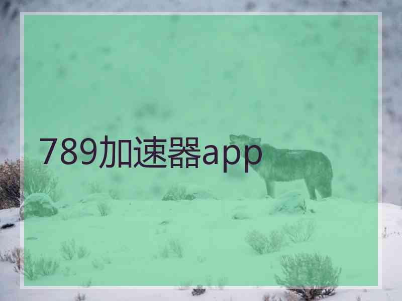 789加速器app