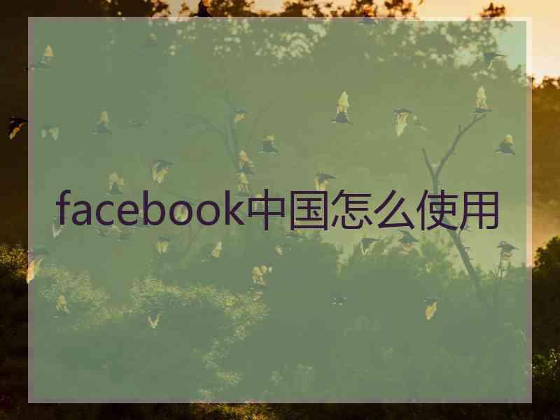 facebook中国怎么使用