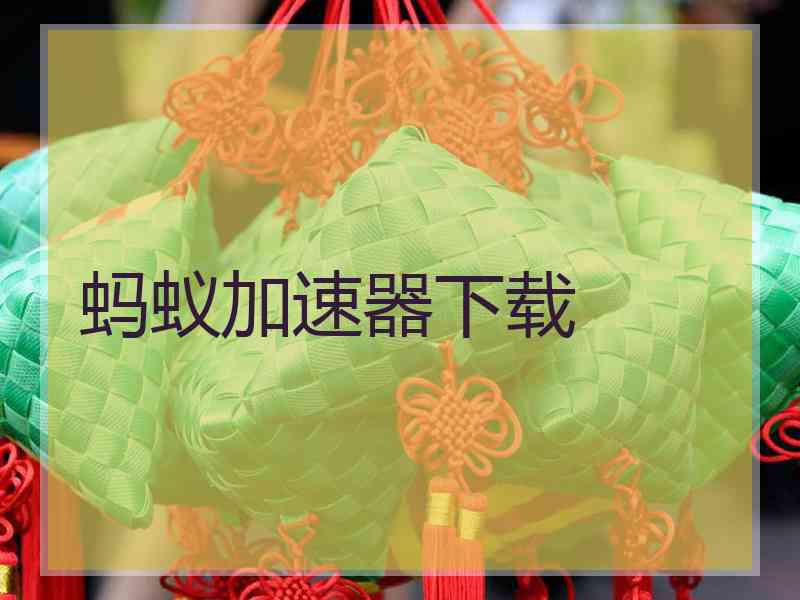 蚂蚁加速器下载