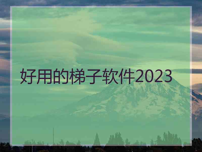 好用的梯子软件2023