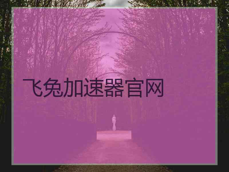飞兔加速器官网