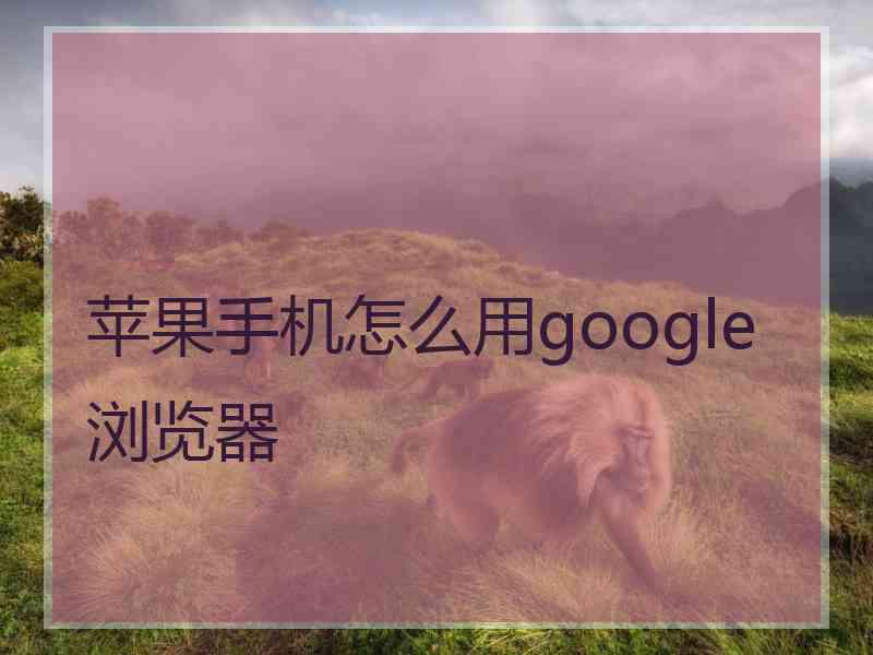苹果手机怎么用google浏览器