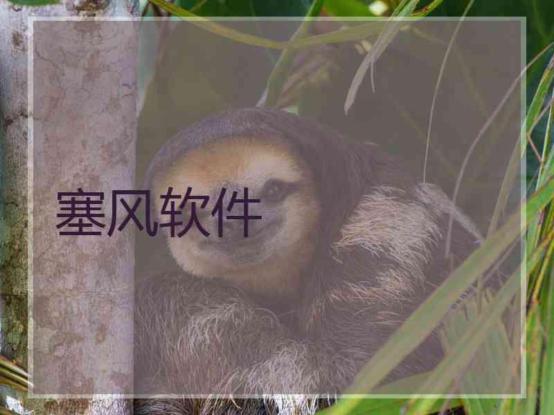 塞风软件