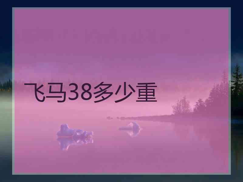 飞马38多少重