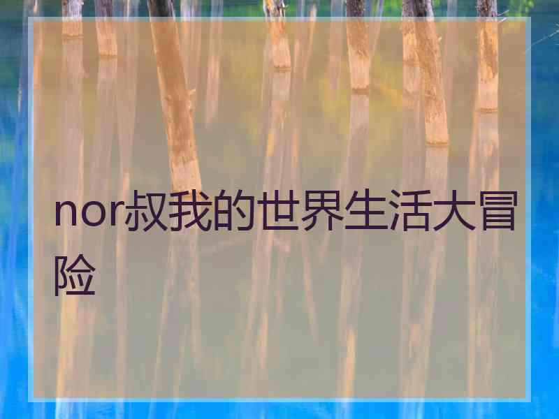 nor叔我的世界生活大冒险