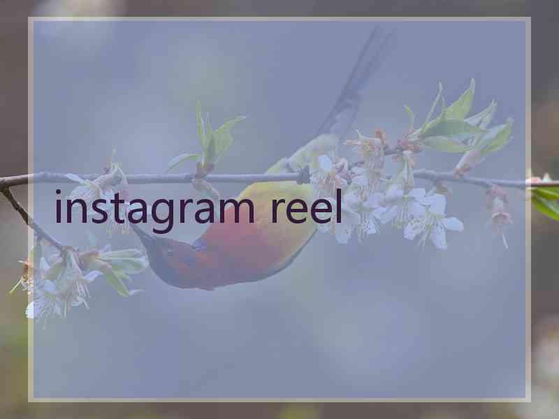 instagram reel