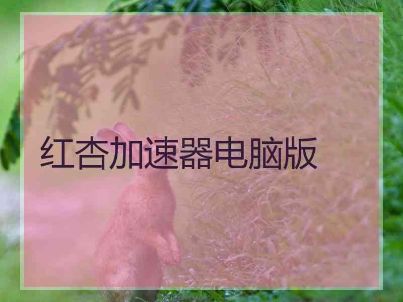 红杏加速器电脑版