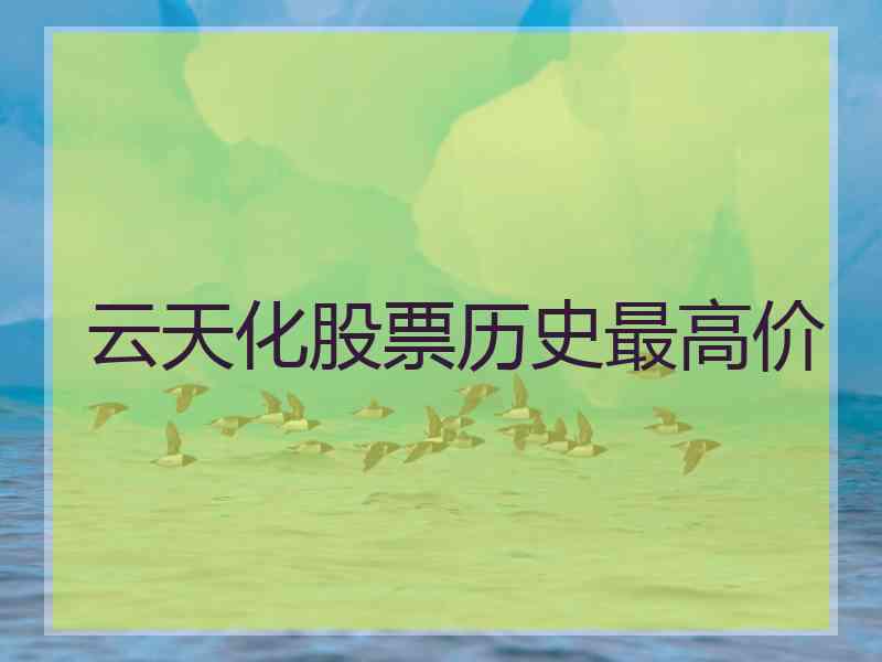 云天化股票历史最高价