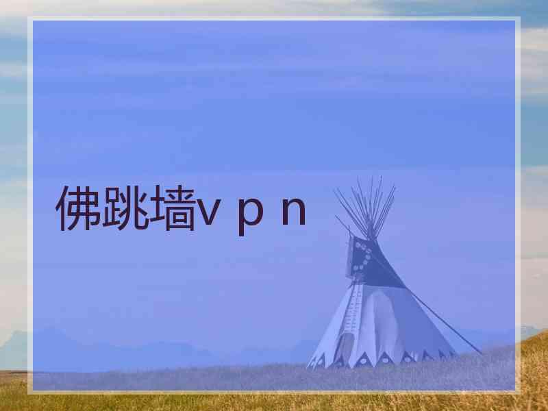 佛跳墙v p n
