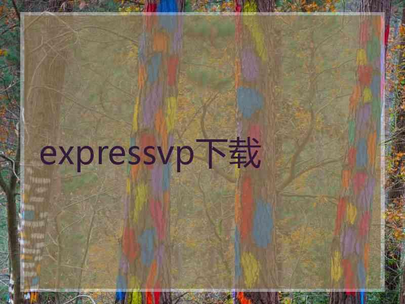expressvp下载