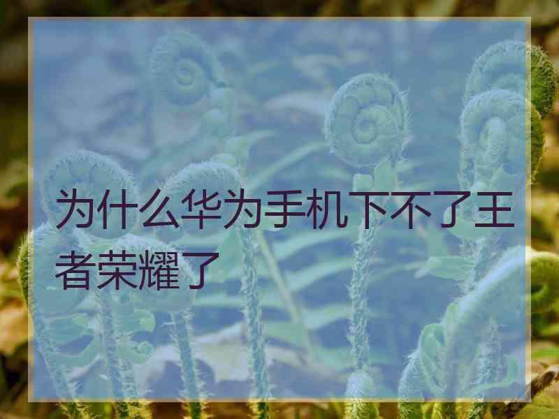 为什么华为手机下不了王者荣耀了
