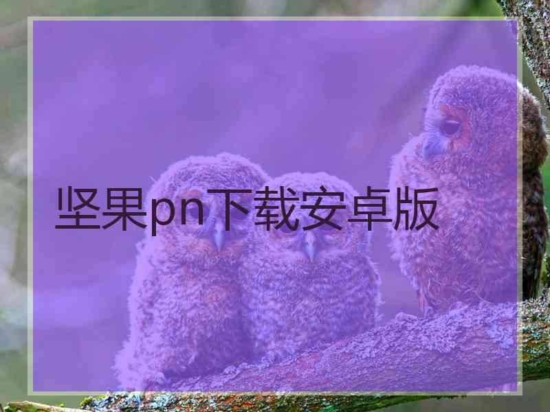 坚果pn下载安卓版