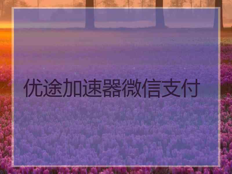 优途加速器微信支付