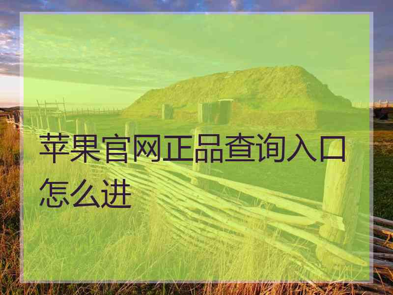 苹果官网正品查询入口怎么进